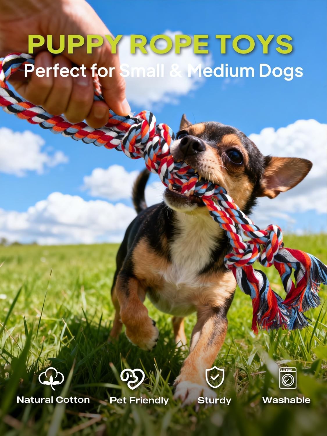 Cotton dog rope toy 9 pack