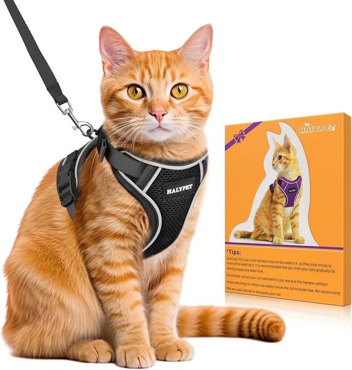 Escape-proof cat harness and leash set