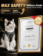 Escape-proof cat harness and leash set