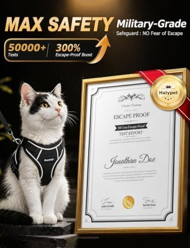 Escape-proof cat harness and leash set