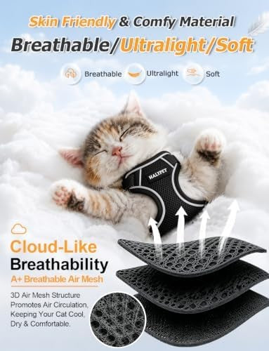 Escape-proof cat harness and leash set