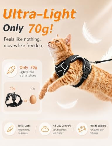 Escape-proof cat harness and leash set