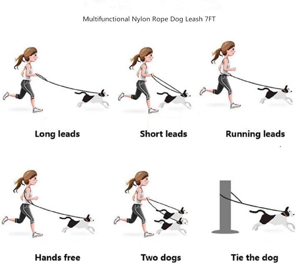 Hands-free waist dog leash for running