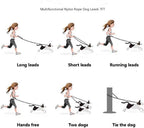 Hands-free waist dog leash for running
