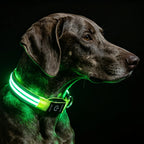 Rechargeable LED light-up dog collar