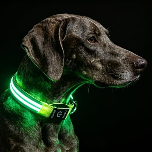 Rechargeable LED light-up dog collar