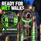 Rechargeable LED light-up dog collar