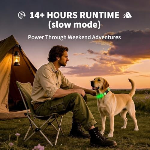 Rechargeable LED light-up dog collar