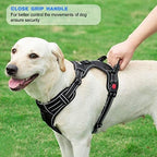 No-pull reflective dog harness