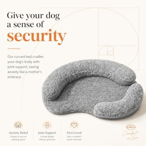 Orthopedic memory foam round dog bed