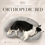Orthopedic memory foam round dog bed