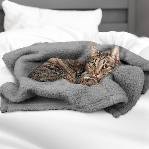 Soft sherpa fleece pet blanket